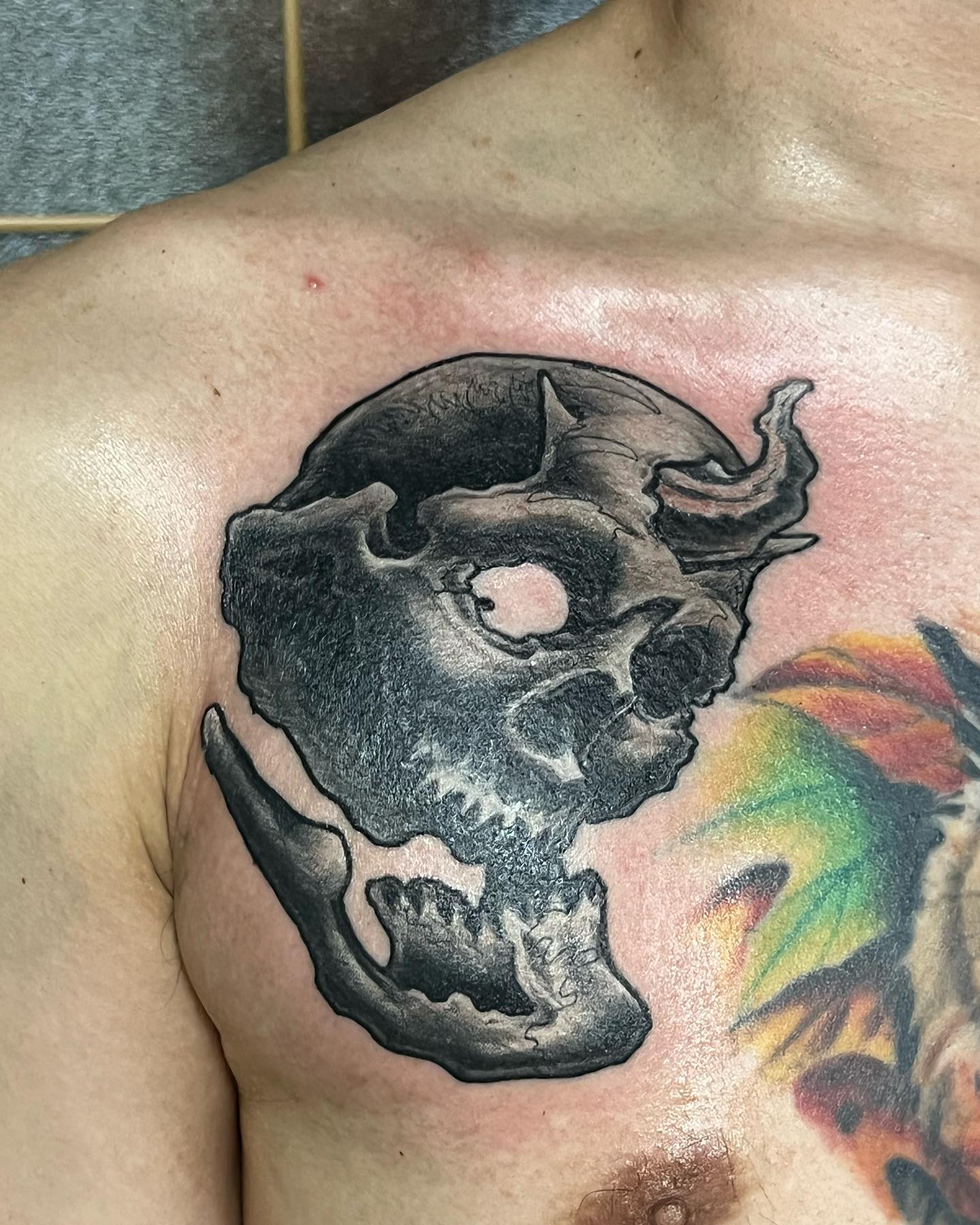 胸 #スカル#skull #skulltattoo #tattoo #ink #freehand #blackandgray #56 #56tattoo #tokyo #horimasa #スカル #ガイコツ #インク #タトゥー #フリーハンド #ブラックアンドグレー #骸骨 #刺青 #墨 #東京 #彫雅